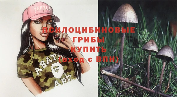 шишки Алзамай