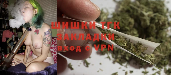 шишки Алзамай